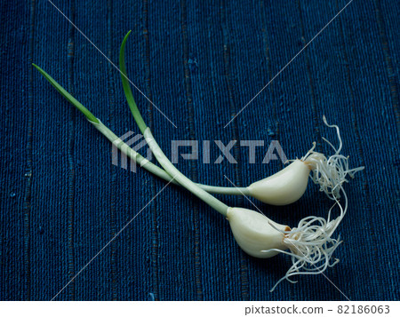 Nutritious garlic sprout 82186063