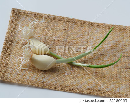 Nutritious garlic sprout 82186065