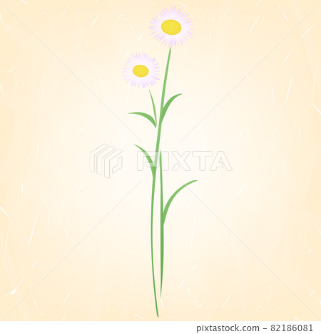 日本紙上的花卉背景插圖（Halzion） 82186081
