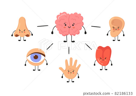 Brain and five human senses organs kawaii characters. Nose, ear, hand, tongue and eye. Cute sensory organs. See, hear, feel, smell and taste. Vector illustrations isolated on white background