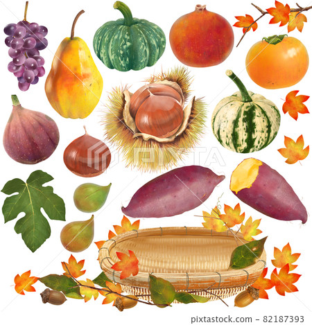 Illustration material of delicious autumn taste series of fruits, vegetables and nuts of vector material and basket and autumn leaves maple 82187393
