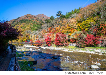 緋紅吊橋的秋葉 緋紅吊橋的秋葉 82187594
