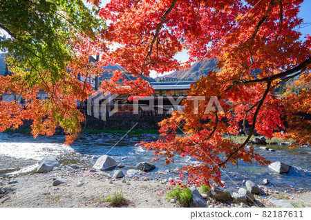 Autumn leaves of the crimson suspension bridge 82187611
