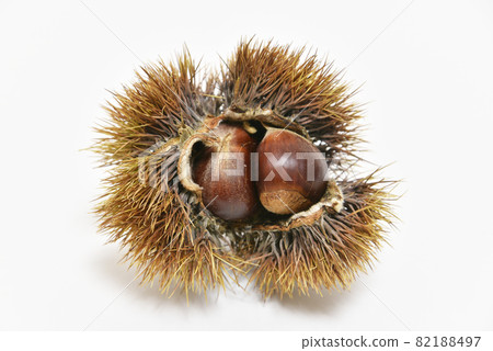 包邊和接縫 82188497