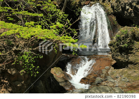 Fresh green priest's waterfall 82190398
