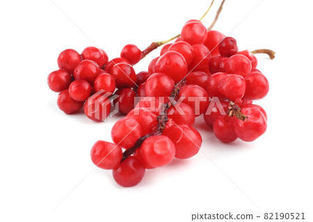 Schisandra Chinensis isolated on white 82190521