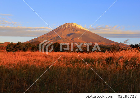 Mt. Fuji, Susono City, co-starring after harvesting buckwheat noodles Mt. Fuji, Susono City, co-starring after harvesting buckwheat noodles 82190728