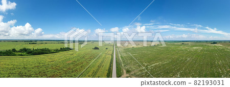 Asphalt highway through green summer field. Aerial panorama view 82193031