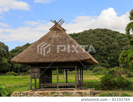 Straw thatched roof 2021 Straw thatched roof 2021 82193784