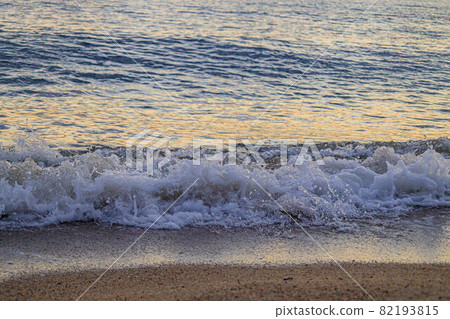 海岸風光2021 82193815