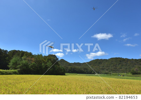 秋景 飄蕩的滑翔機飛過稻田 秋景 飄蕩的滑翔機飛過稻田 82194653