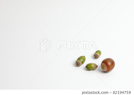 兩種背景簡單的橡子 82194759