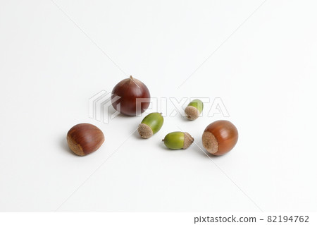 3 types of acorns with a simple background 82194762