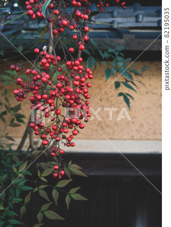 那是南方的天空，在牆邊長著紅色的果實。 82195035