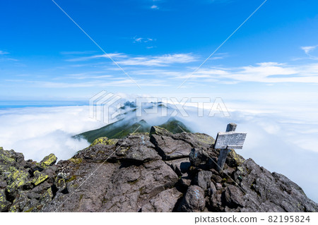 Brown bear's den climbing Mt. Rausu (Japan-Hokkaido-Mt. Rausu) 82195824