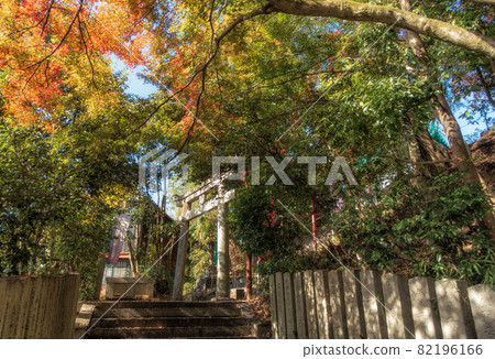 Scenery of the second torii gate and autumn leaves in Matsugasaki Daikokuten (Myoenji), Kyoto Scenery of the second torii gate and autumn leaves in Matsugasaki Daikokuten (Myoenji), Kyoto 82196166