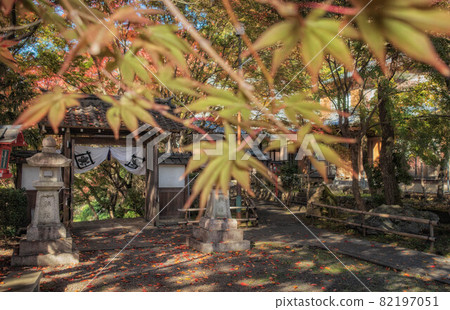 是松崎大黑天（明園寺）大門的風景和京都地區美麗的秋葉。 82197051