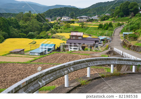 Autumn terraced rice fields in the Yugashima area << Izu City >> Autumn terraced rice fields in the Yugashima area << Izu City >> 82198538