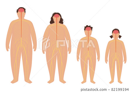 Central nervous system Central nervous system 82199194