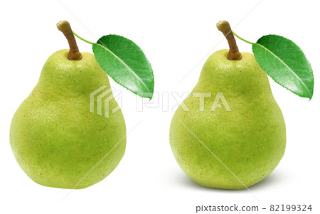 Pear La France Illustration Real 82199324