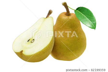 Pear La France Illustration Real Set Pear La France Illustration Real Set 82199359