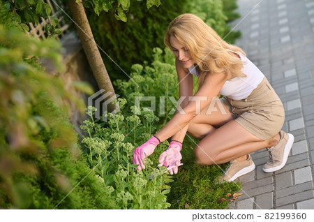 Happy beautiful middle aged woman gardening Happy beautiful middle aged woman gardening 82199360