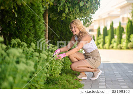 Smiling woman gardening crouching near flowers Smiling woman gardening crouching near flowers 82199363