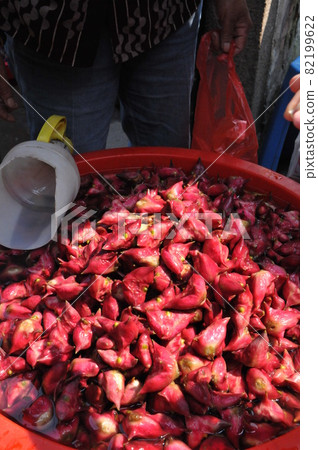 中國, 浙江省, 西塘, Trapa japonica, 水鄉, 古城 中國, 浙江省, 西塘, Trapa japonica, 水鄉, 古城 82199622