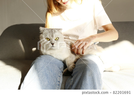 Funny looking grey and white cat indoors. Funny looking grey and white cat indoors. 82201691