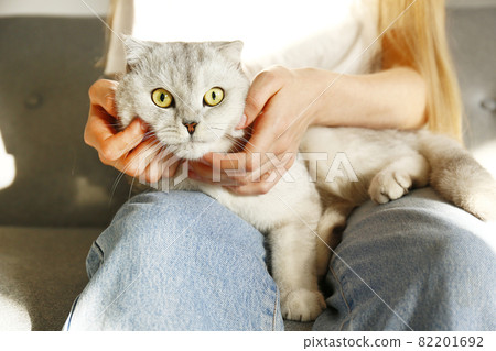 Funny looking grey and white cat indoors. Funny looking grey and white cat indoors. 82201692