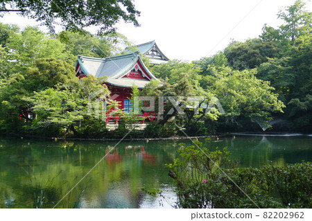 大都會公園井之頭公園井之頭公園井之頭池塘東京武藏野市和三鷹市 82202962