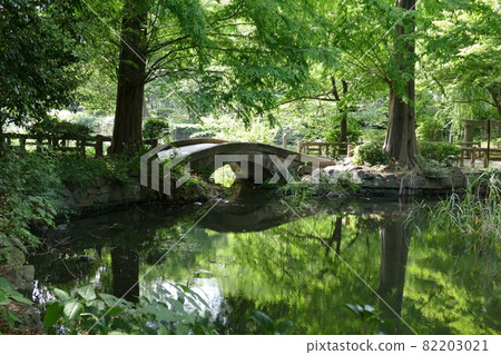 大都會公園井之頭公園井之頭公園井之頭池塘東京武藏野市和三鷹市 82203021
