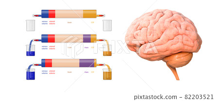 Brain, mass, arterial volume, venous volume, CSF - cerebrospinal fluid acronym, medical concept background, 3d render 82203521