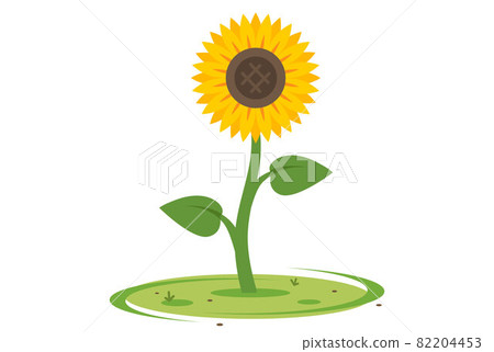 yellow sunflower in a green meadow against the blue sky. yellow sunflower in a green meadow against the blue sky. 82204453