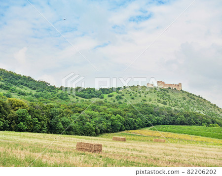 Land near Pavlov with Devicky ruins in Palava, Southern Moravia, Czech Republic Land near Pavlov with Devicky ruins in Palava, Southern Moravia, Czech Republic 82206202
