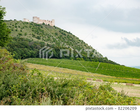 Devin Hill with the rest of Devicky castle above field and vineyard Devin Hill with the rest of Devicky castle above field and vineyard 82206209