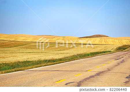 Golden barley fields beside a long highway Golden barley fields beside a long highway 82206440