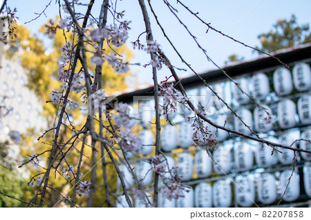 東京都台東區上野御史公園/上野公園紀念碑周圍 東京都台東區上野御史公園/上野公園紀念碑周圍 82207858