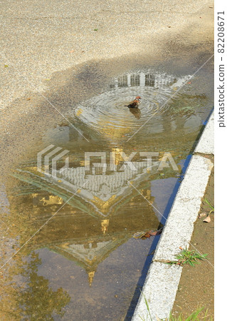 Sparrow after the rain and Osaka Castle 82208671