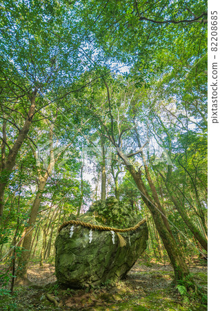 (Kameoka City, Kyoto Prefecture) Izumo Daijingu Shrine Banza 82208685