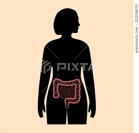 Gut microbiome concept 82209650