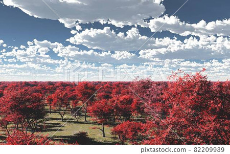Autumn leaves, bright red autumn leaves, trees dyed in bright red, red as far as the eye can see, the season of nature walks, 3DCG 82209989