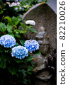 Three blue hydrangeas in full bloom against a stone Buddha background 82210026