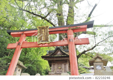 Shigisan，Chogosonshiji Temple的Kayaki Inari 82210246