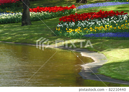 色彩鮮豔的紅色，白色和黃色 82210440