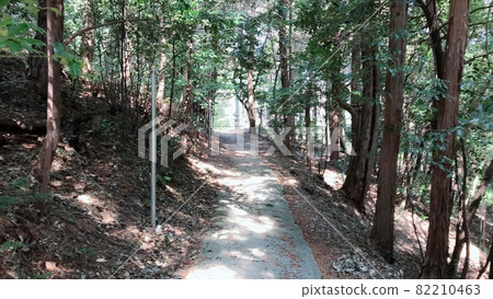 山間小道 82210463