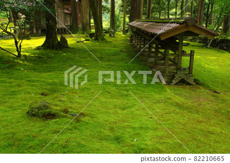 石川縣小松市日與町日與青苔村日與神社 82210665