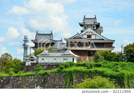 Fukuchiyama Castle seen from the ruins of Hokimaru 82211908