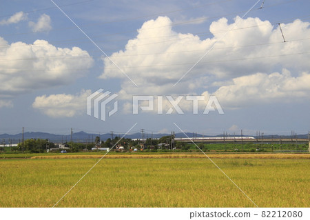 Joetsu Shinkansen E4 series on the verge of retirement passing through the golden Mitsuke city: Max Toki 82212080
