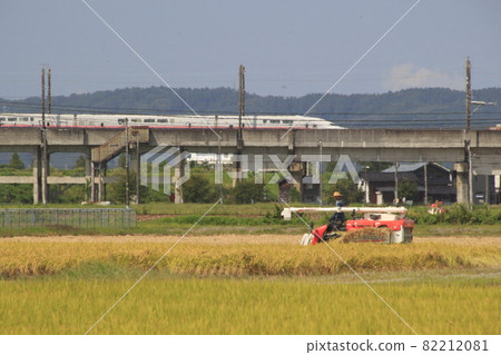 Joetsu Shinkansen E4 series on the verge of retirement passing through the golden Mitsuke city: Max Toki 82212081